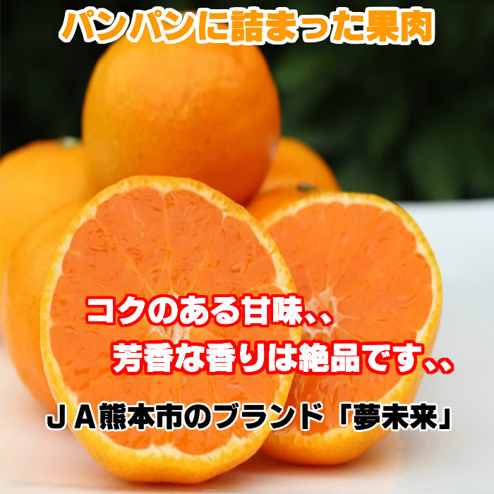 2.5キロ 熊本産 夢未来 みかん 小玉