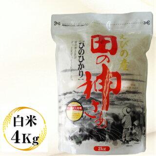 2kg×2袋【4kg】 令和３年産 九州 宮崎県えびの産ひのひかり