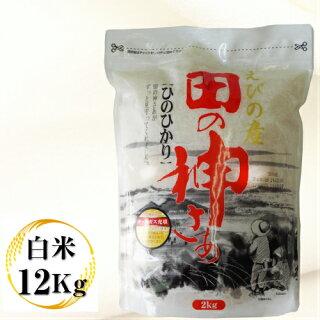 2kg×6袋【12kg】 令和３年産 九州 宮崎県えびの産ひのひかり