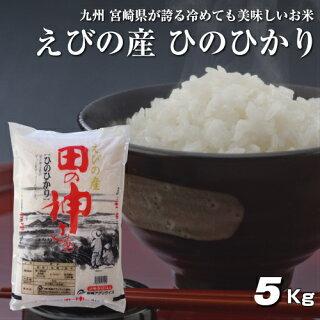 5kg×1袋【5kg】 令和３年 九州 宮崎県えびの産ひのひかり