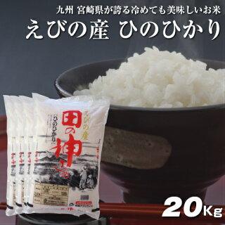 5kg×4袋【20kg】 令和３年 九州 宮崎県えびの産ひのひかり