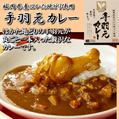 【はかた地どりカレー2種 食べ比べ お試しメール便】【はかた地どりと根菜カレー　180g×１】【はかた地どり手羽元カレー(1本入り)210g】