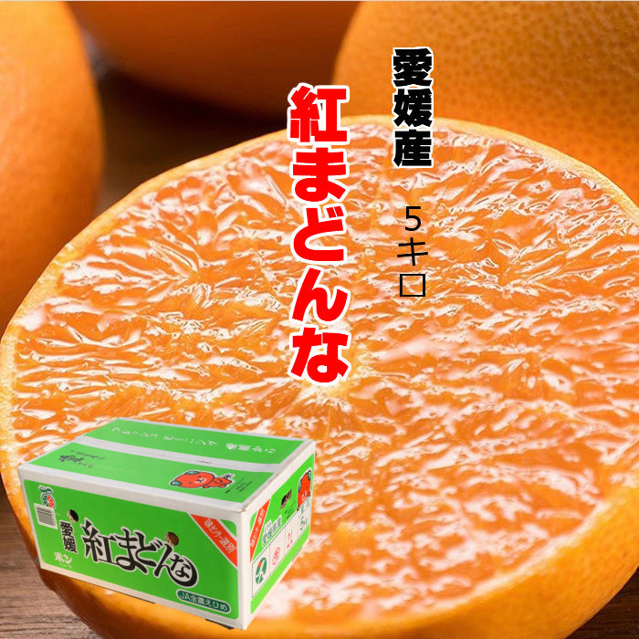5kg 愛媛産 紅まどんな 青秀 3L-2L-L