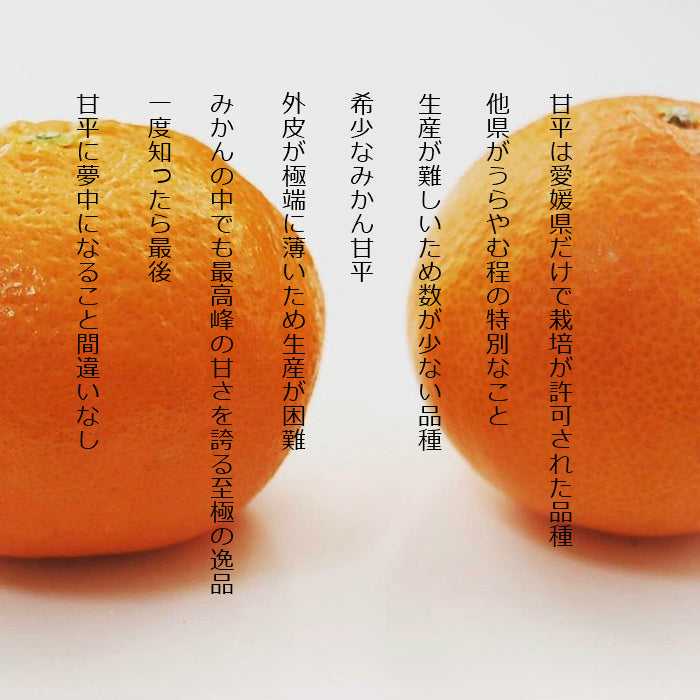 2.5キロ 愛媛産 わけあり甘平