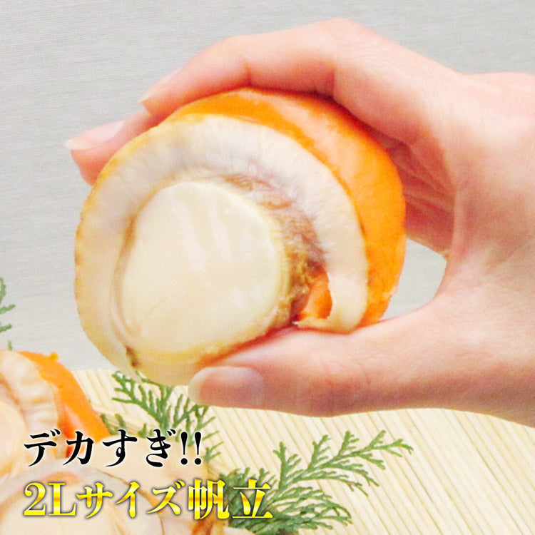 【30人シェア買いで20%OFF】ボイルホタテ デカ玉 2Lサイズ 1kg 帆立 ほたて 冷凍便 お取り寄せグルメ 食品 ギフト