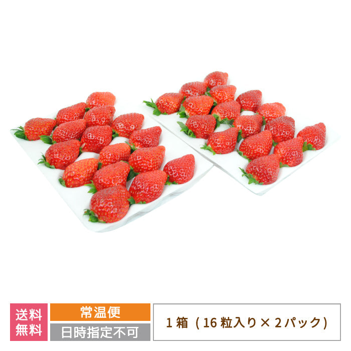 福島県産 いちご「甘園房～あまえんぼう」DX－02 1箱 3L  (16粒入り×2パック)通常便*