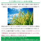 米 精米 三重県産 こしひかり 10kg (5kg×2) 令和5年産 新米 お米 白米 おくさま印 国産 食品 ギフト 引っ越し 挨拶 出産 内祝い 母の日 父の日 お中元 お歳暮 結婚 快気 還暦 香典返し お年賀 送料無料