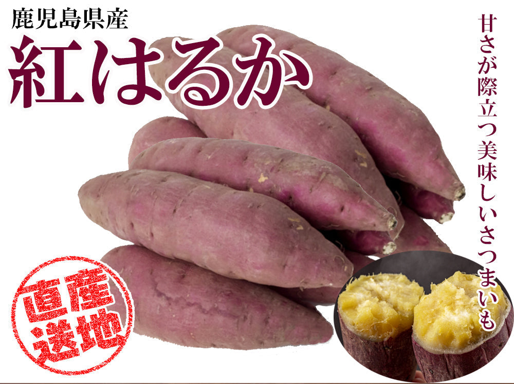 【最安値挑戦祭】紅はるか さつまいも 5kg 送料無料 産地直送 産直 土付き さつま芋 薩摩芋 焼きいも 焼き芋 石焼き芋 芋 いも イモ 鹿児島県産 ngs-003