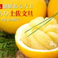【 送料無料 】 大玉 限定 土佐 文旦 ★ 訳あり 土佐文旦（ 露地 ） 10kg サイズ(価値ある・3L／4L(大玉)限定) わけあり 訳アリ フルーツ 【ご家庭用】(北海道・沖縄は別当送料が必要です) 文旦 母の日 ギフト 花以外
