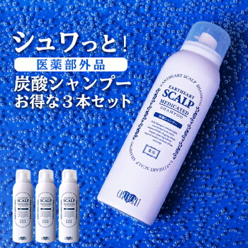 【タイムセール】【髪のプロが作った医薬部外品シャンプー】サロン専売品 薬用スキャルプシャンプー3本セット/濃密炭酸泡シャンプー 育毛 薄毛 増毛の気になる方へ 美容室専売品 プロ様