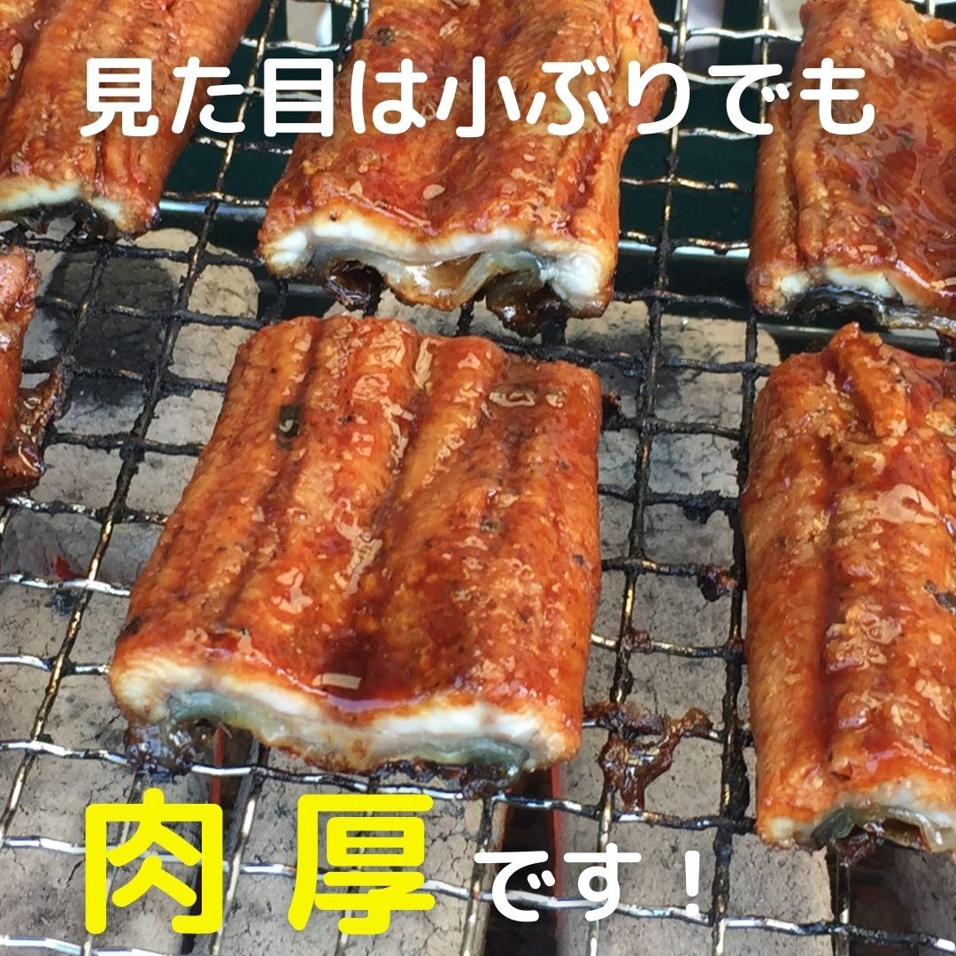 ２尾セット うなぎ真空冷凍 無投薬 インドネシア産 蒲焼