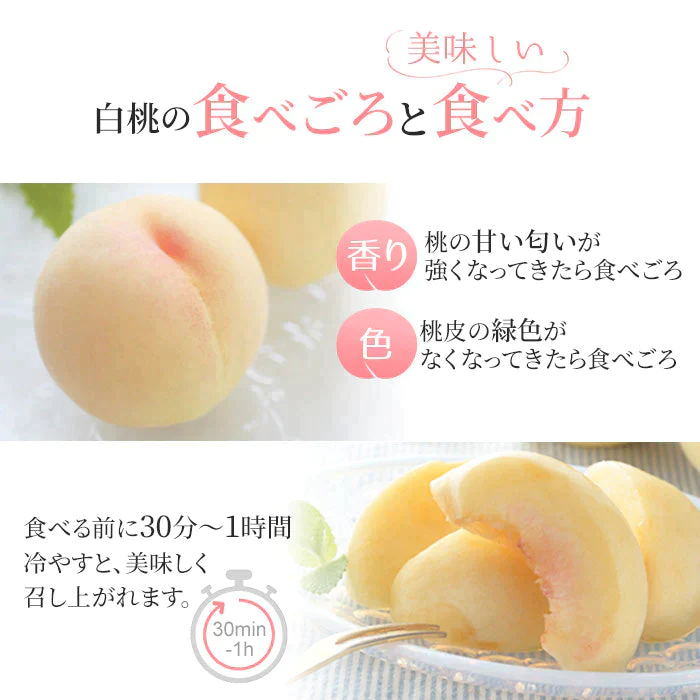 【超シェア買い祭】【7月上旬から発送可能】岡山産 白桃 訳あり 1.3キロ 5－8玉入り 家庭用【エコ得】