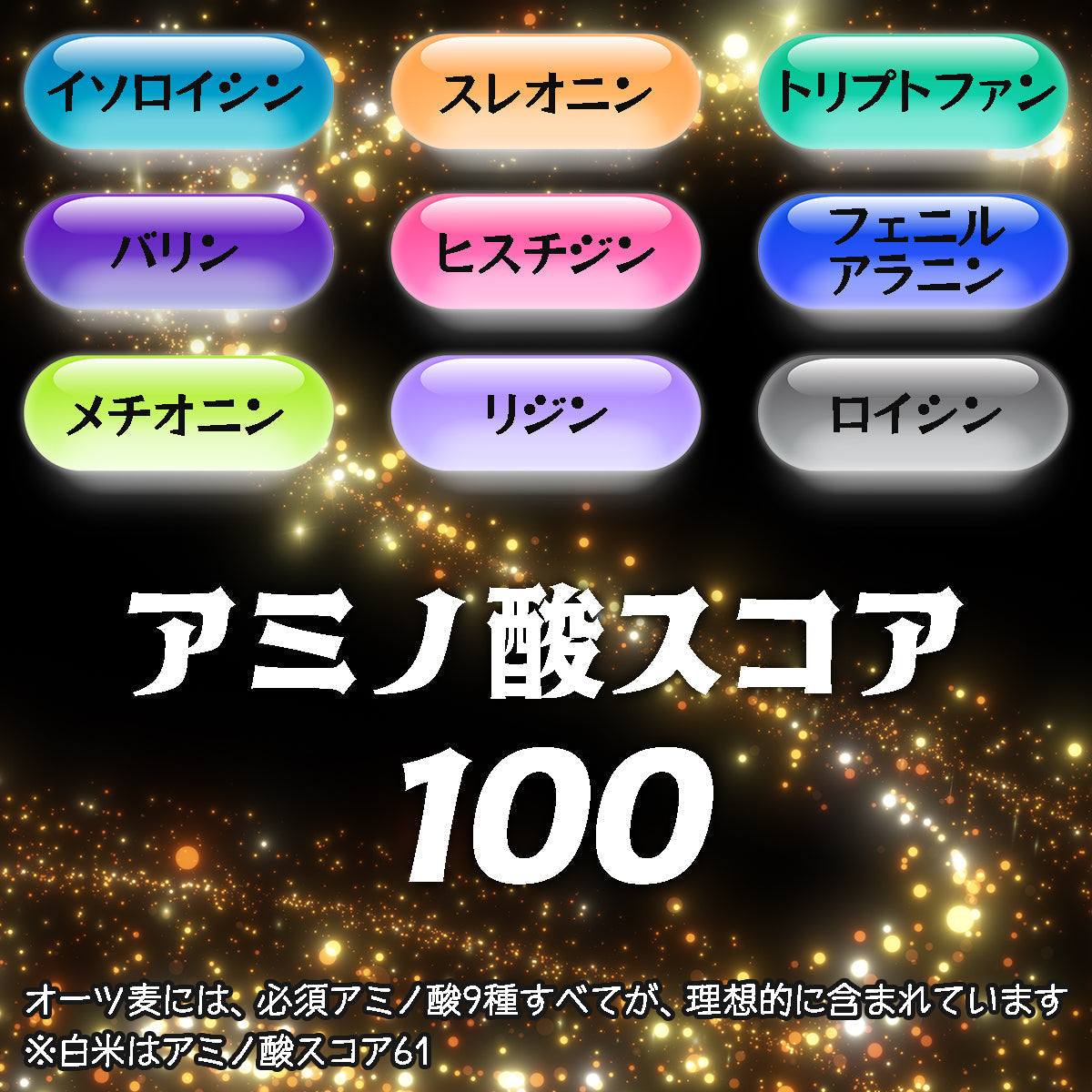 健康管理 ダイエット 糖質制限【オーガニック原料】有機オーツ麦（オートグローツ）700g ／ 種皮(ふすま・ぬか)や胚芽を除去しない無加工に近い全粒穀物でオートミールの中で一番栄養価が高い！無農薬 無添加 遺伝子組み換えでない 送料無料