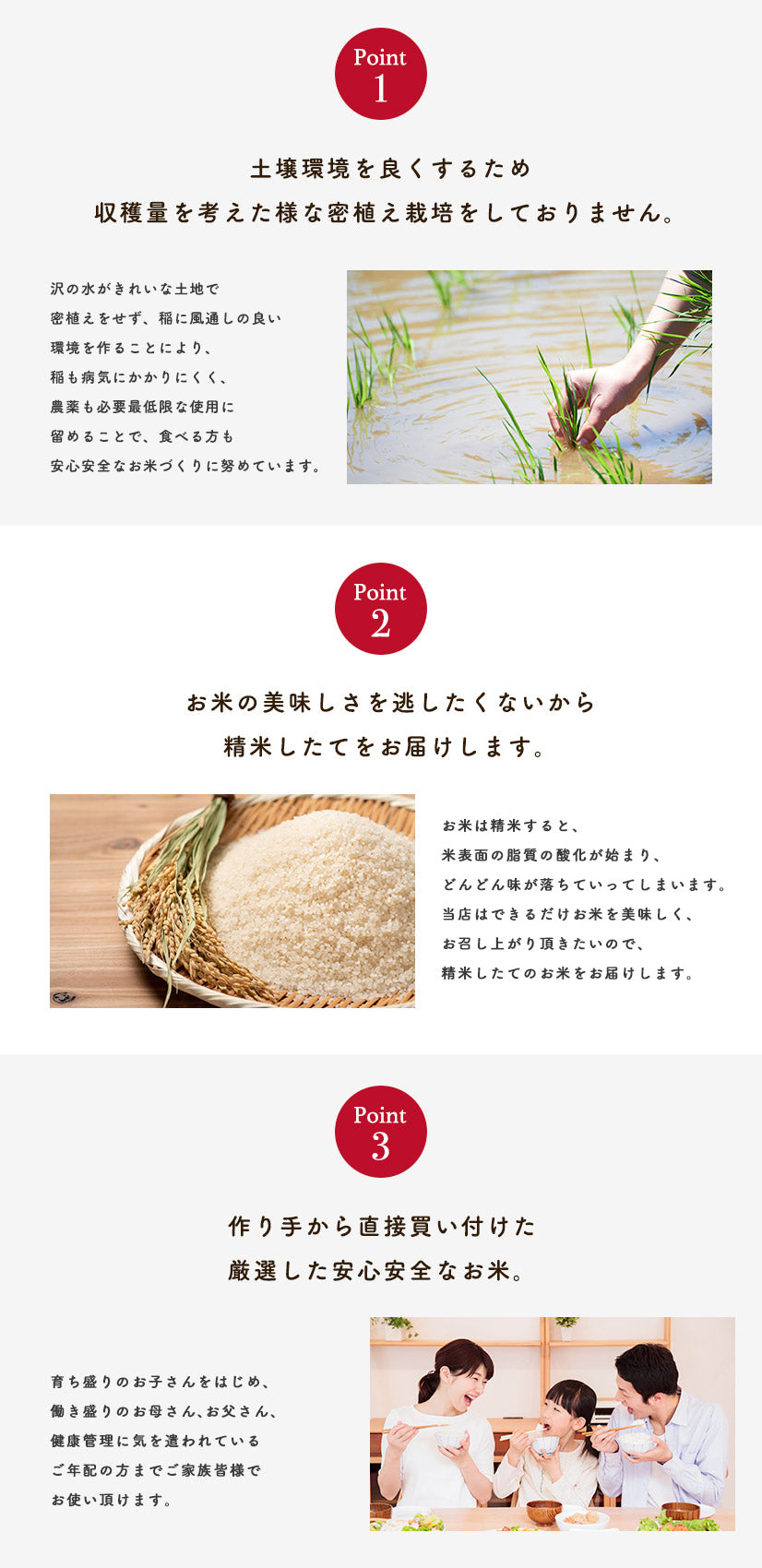 【100人シェア買いでお得】数量限定【無洗米10kg】令和4年産　秋田県産　ミルキークイーン10kg 5kg×2袋　令和4年産　一等米　厳選　送料無料　米　10ｋｇ米びつ当番【天鷹唐辛子】プレゼント付き贈り物【超シェア買い祭】