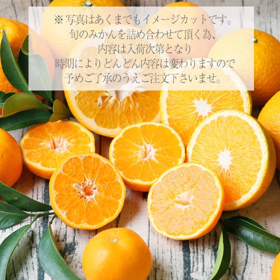吉田みかん 詰め合わせ ファミリーセット 2kg