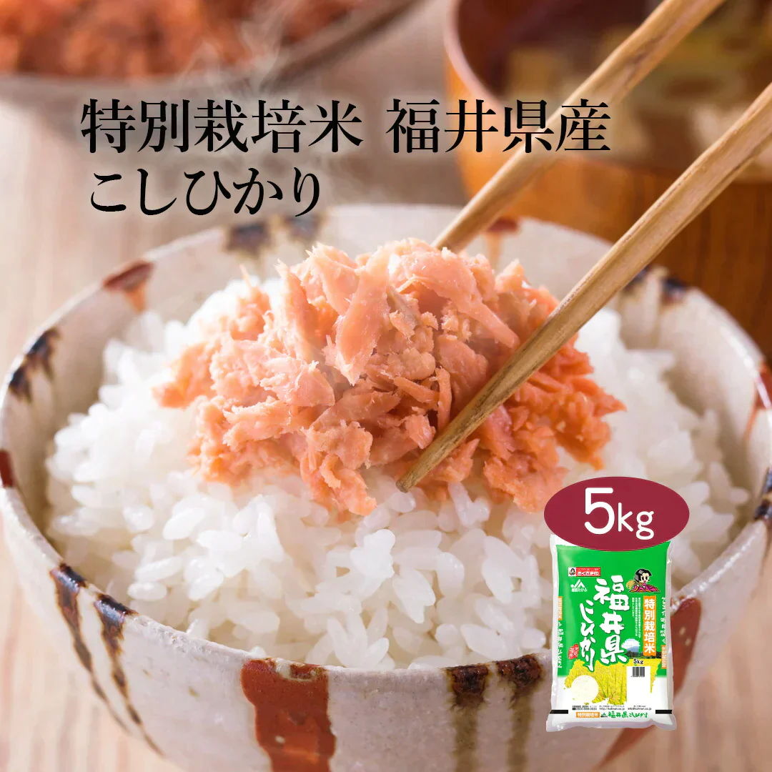 米 精米 福井県産 特別栽培米 こしひかり 5kg 令和5年産 新米 お米 白米 おくさま印 国産 食品 ギフト 引っ越し 挨拶 出産 内祝い 母の日 父の日 お中元 お歳暮 結婚 快気 還暦 香典返し お年賀 送料無料
