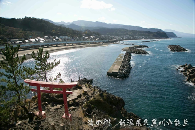 55g 糸魚川産 100%天然無添加  干甘えび
