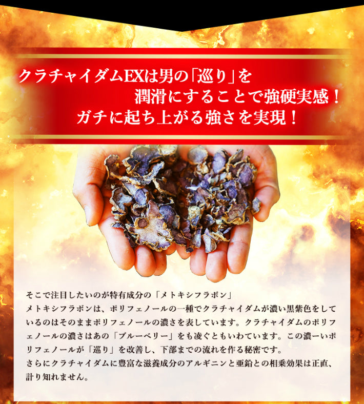 クラチャイダム サプリメント クラチャイダムEX 1袋 180粒 約3ヶ月分