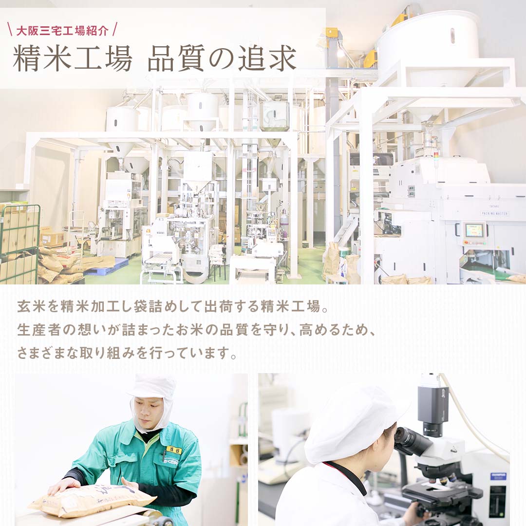 こしひかり ブレンド米 30kg (5kg×6) お米 精米 白米 おくさま印 国産 食品 ギフト 引っ越し 挨拶 出産 内祝い 母の日 父の日 お中元 お歳暮 結婚 快気 還暦 香典返し 寒中 暑中見舞い お年賀 送料無料
