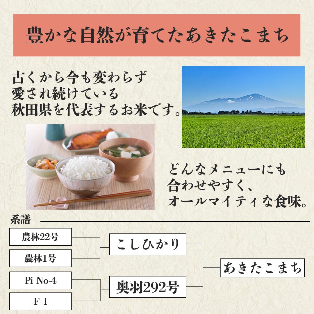 無洗米 米 あきたこまち 10kg (5kg×2) 令和5年産 新米 お米 白米 おくさま印 国産 食品 ギフト 引っ越し 挨拶 出産 内祝い 母の日 父の日 お中元 お歳暮 結婚 快気 還暦 香典返し 寒中 暑中見舞い お年賀 送料無料