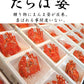 2.1kg～2.3kg × 2尾 たらば蟹 特大 ボイル 丸ごと