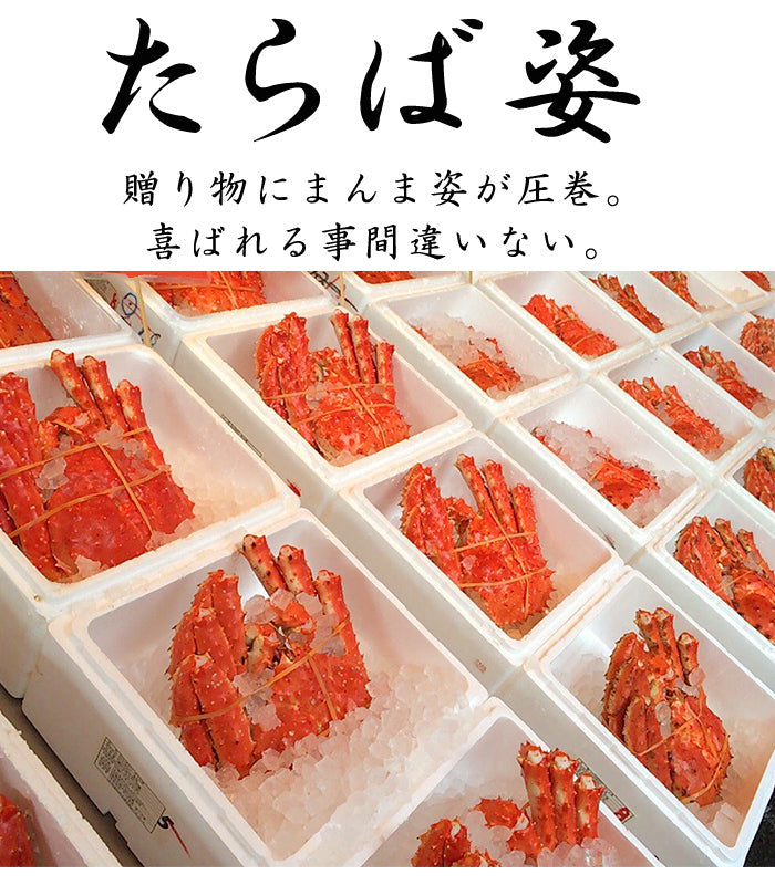 2.7kg～3kg 1尾たらば蟹 特大 ボイル カニ 丸ごと