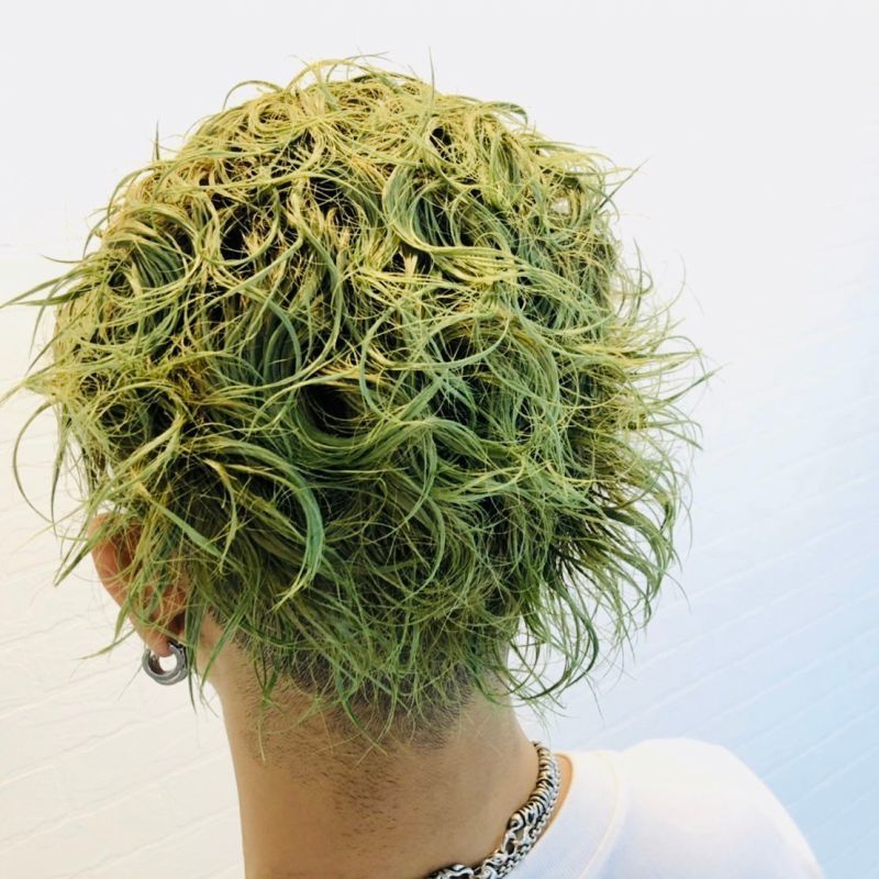 Botanical Green B47 ボタニカルグリーンカラーワックス（緑）36g