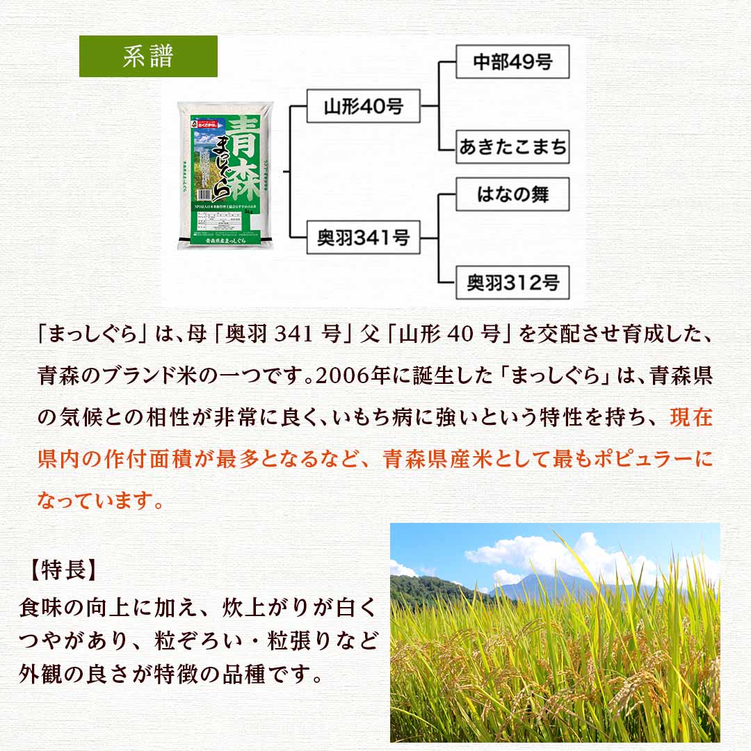 米 青森県産 青森まっしぐら 10kg (5kg×2) 令和5年産 新米 お米 白米 おくさま印 国産 食品 ギフト 引っ越し 挨拶 出産 内祝い 母の日 父の日 お中元 お歳暮 結婚 快気 還暦 香典返し お年賀 送料無料