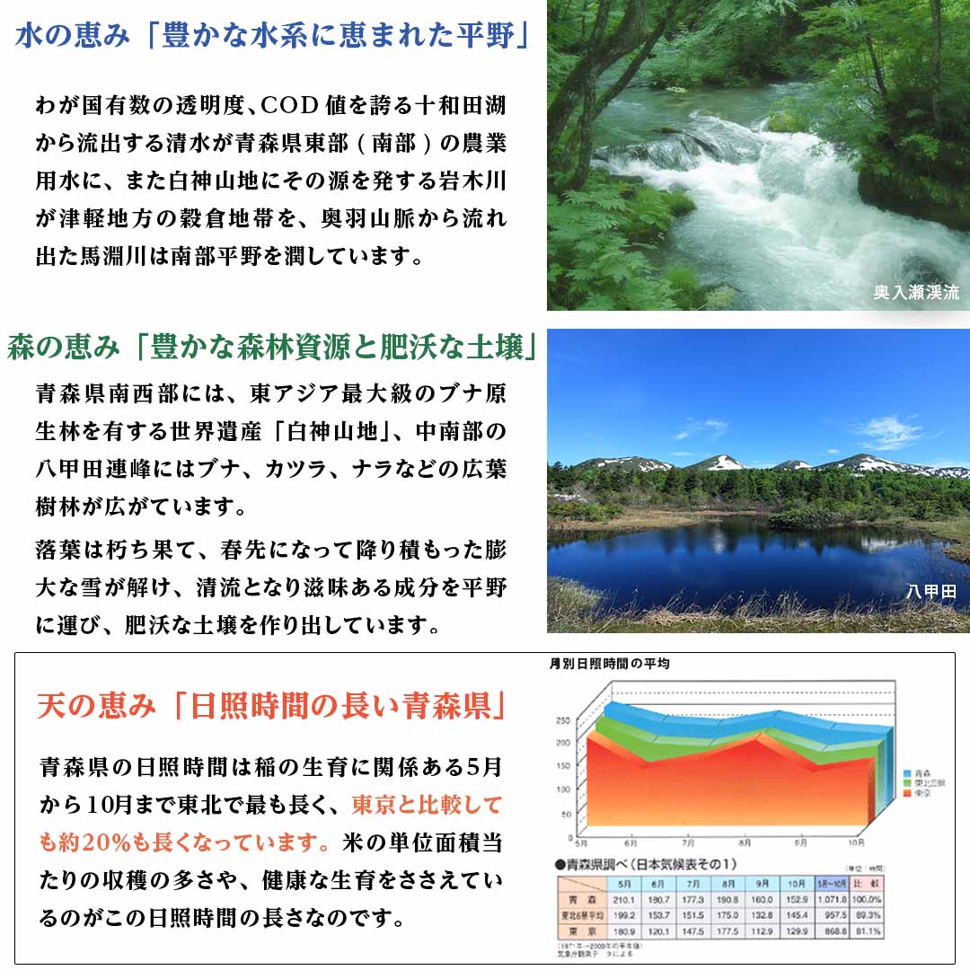 米 青森県産 青森まっしぐら 5kg 令和5年産 新米 お米 白米 おくさま印 国産 食品 ギフト 引っ越し 挨拶 出産 内祝い 母の日 父の日 お中元 お歳暮 結婚 快気 還暦 香典返し 寒中 暑中見舞い お年賀 送料無料