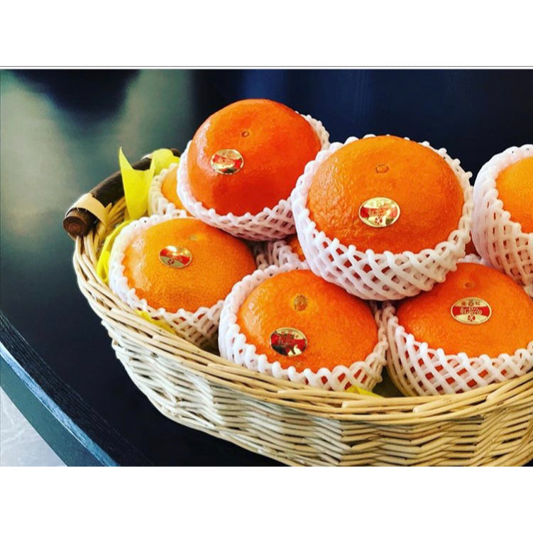 1.5kg 愛媛産  わけあり 紅まどんな