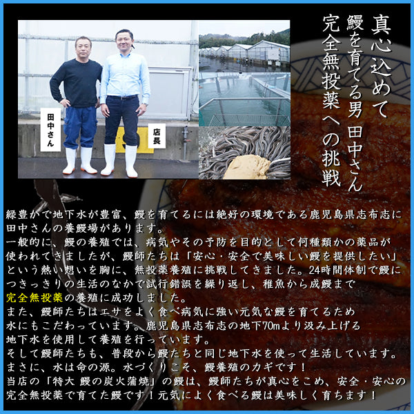 ギフト箱に特大長焼180gサイズ x 2本入り！無投薬で育てた安全・安心の鰻を炭火焼！鹿児島産 炭火焼 特大 鰻の蒲焼 長焼き1枚180g×2本