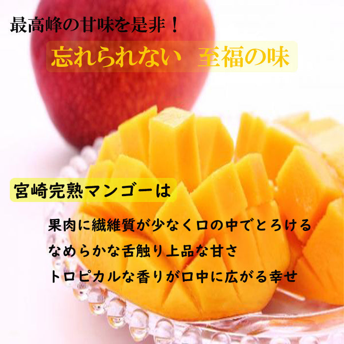 マンゴー 宮崎産 完熟マンゴー 秀品 大玉 4Lサイズ 1玉入り