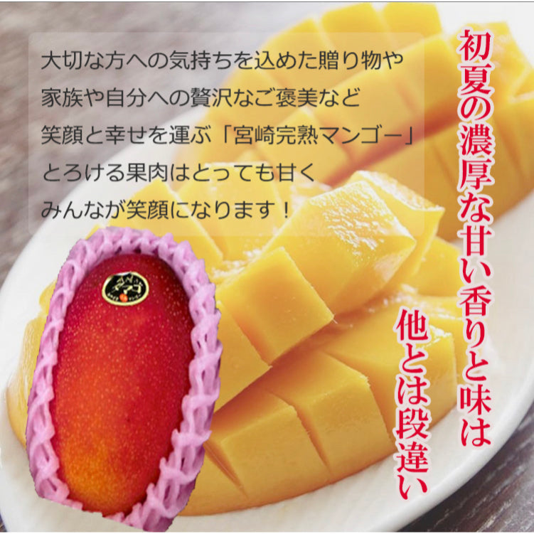 宮崎産 完熟マンゴー 秀品 2Lサイズ 1玉入り