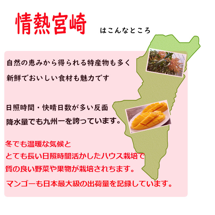 宮崎産 完熟マンゴー 秀品 2Lサイズ 1玉入り