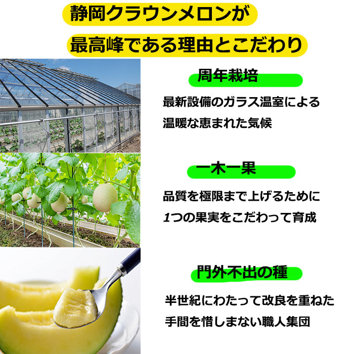 1玉 静岡産 クラウンメロン