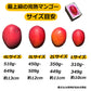 宮崎産 完熟マンゴー 秀品 2Lサイズ 1玉入り