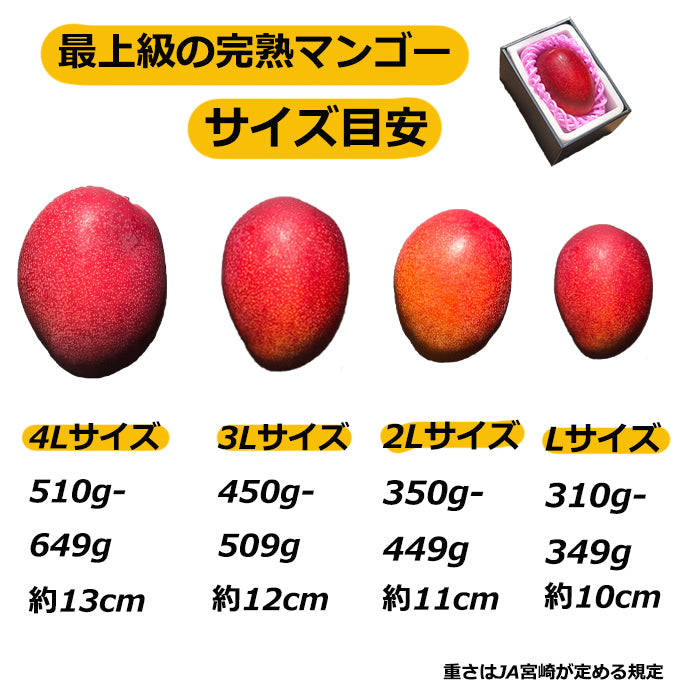 宮崎産 完熟マンゴー 秀品 2Lサイズ 1玉入り