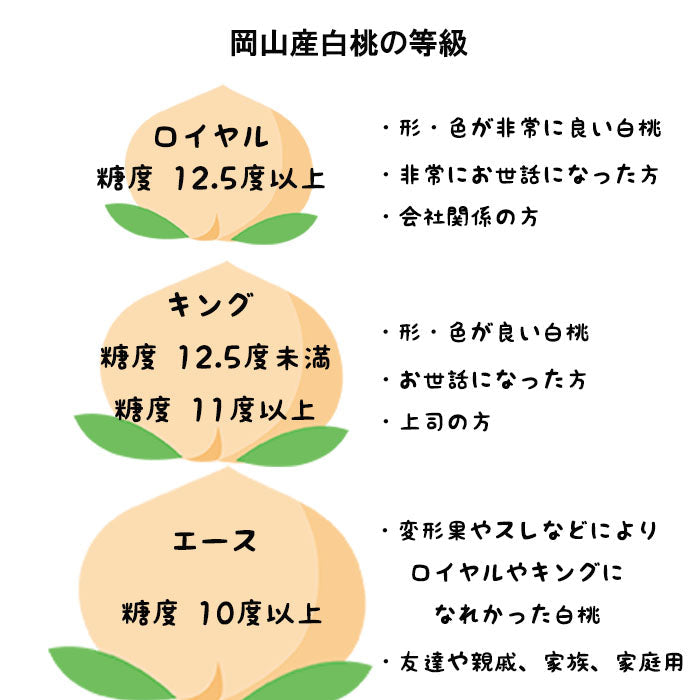 岡山産 白桃 エース 約900g 3玉入り