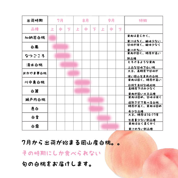 岡山産 白桃 エース 約900g 3玉入り
