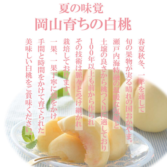 岡山産 白桃 エース 約900g 3玉入り