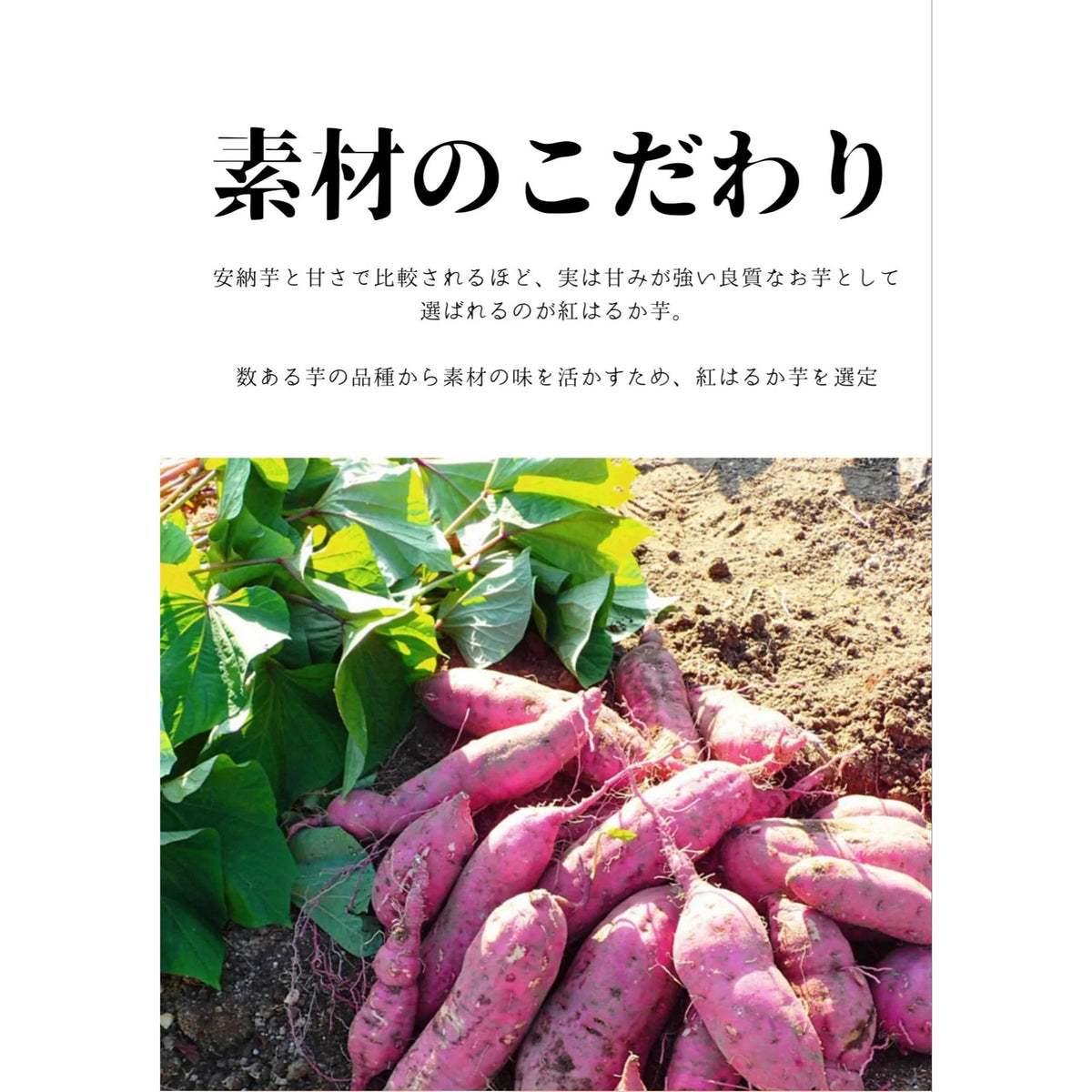 【徳用紅はるか×6袋セット】さっぱり お芋の甘さが癖になる 紅はるか お菓子 送料無料 干し芋 グラッセ 甘納豆 スイートポテト 凍らせて アイス 芋 ポイント 消費 消化 領収書発行 エントリー お彼岸