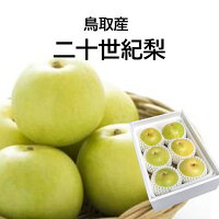送料無料 鳥取産 訳あり20世紀梨 3キロ プレゼント お祝い ギフト