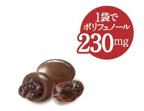 【送料無料】正栄デリシティ  果実Veil レーズンチョコ 35g×24個