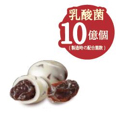 【送料無料】正栄デリシティ  果実Veilヨーグルトレーズンチョコ 35g×36個