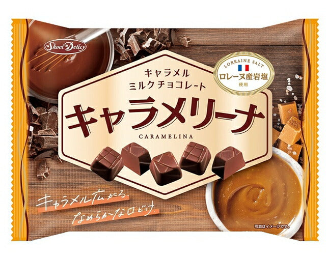 【送料無料】正栄デリシティ キャラメリーナ 170ｇ×16袋