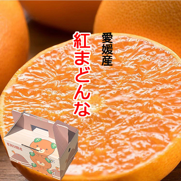 1.5kg 愛媛産  わけあり 紅まどんな