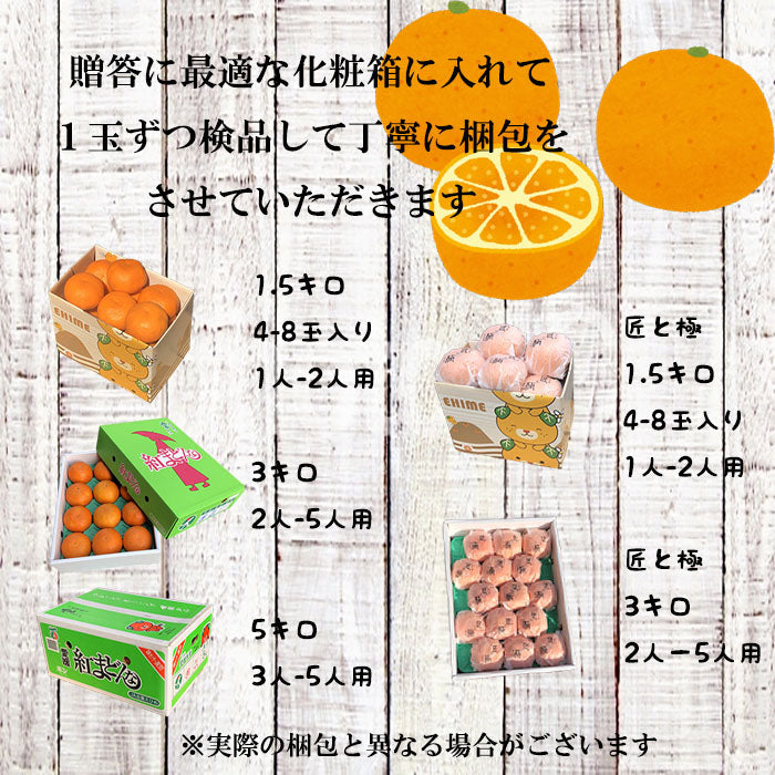 2kg 愛媛産  わけあり 紅まどんな