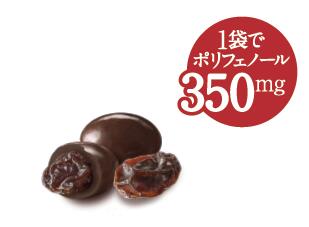 【送料無料】正栄デリシティ  果実Veil カカオ７０レーズンチョコ 40g×24個