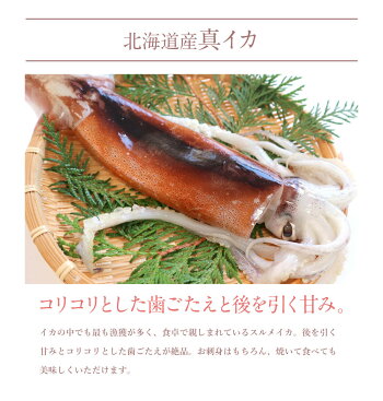 【先着10購入限定・15%OFF】海鮮グルメセット-絆-