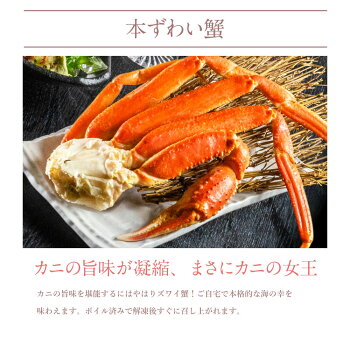 【先着10購入限定・15%OFF】海鮮グルメセット-絆-